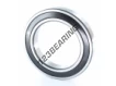 6020-2RS-ZEN