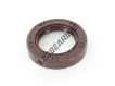 DB-230X255X10-NBR