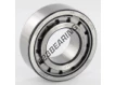 NJ2206-ECJ-SKF