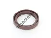 OAS-33X45X6.500-FPM