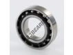 S6006-C-TXM-ABEC7-DUL