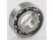 W6003-SKF